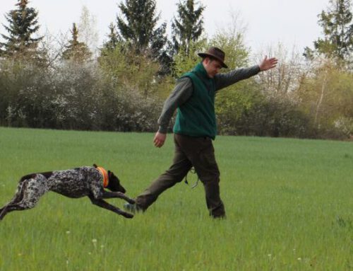 Hegering Markhausen-Gehlenberg veranstaltet Lehrgang für die Vorbereitung auf Derby und  VJP