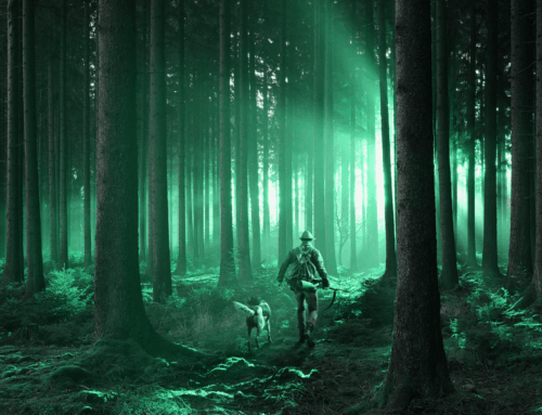 Frühjahrsprogramm der DJV-Online-Akademie 2026