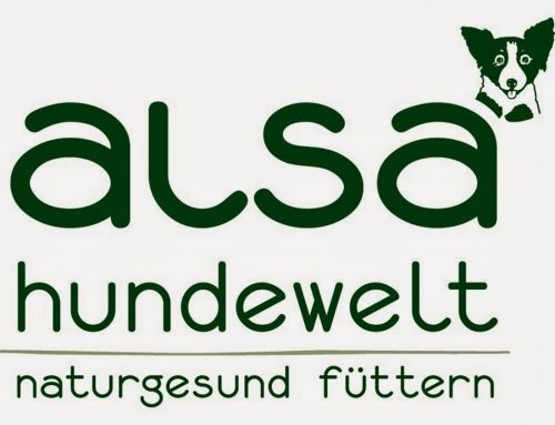 Sponsor: Alsa Hundewelt