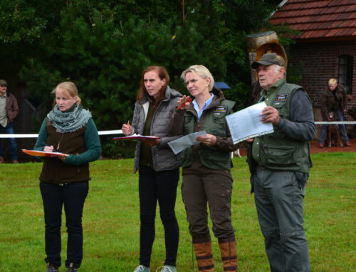 Klub Kurzhaar-Voran Weser Ems e.V. veranstaltet Zuchtschau in Gehlenberg