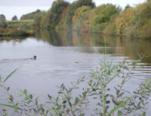 Wasserübungstage 2026 für Mitglieder