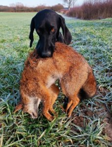 ZirillavonNeuarenberg