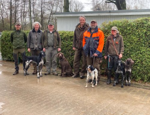 Fünf Hunde bestehen die Derby in Lockwisch (MV)