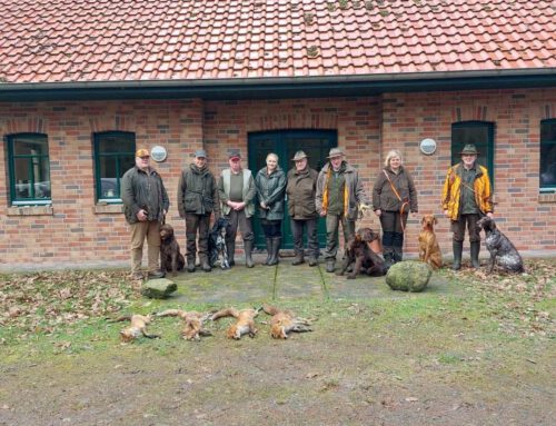 Fünf Hunde bestehen die Bringtreue im Leonorenwald