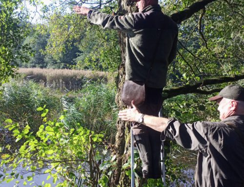 Prüfungswoche im Landkreis Ludwigslust Parchim