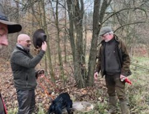 VFsP & VSwP 20 in Mecklenburg Vorpommern