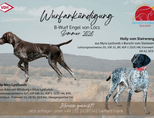 Wurfankündigung Zwinger Engel von Locs