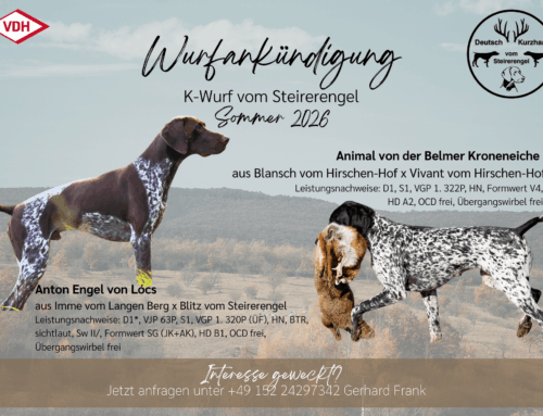 Wurfankündigung Zwinger vom Steirer Engel