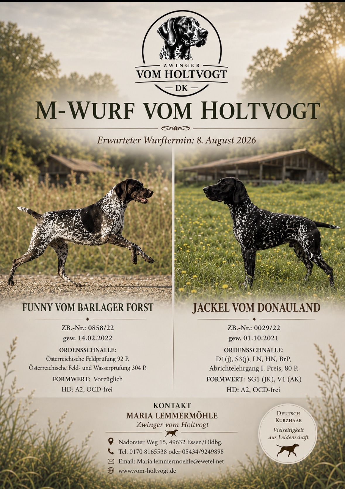 Holtvogt